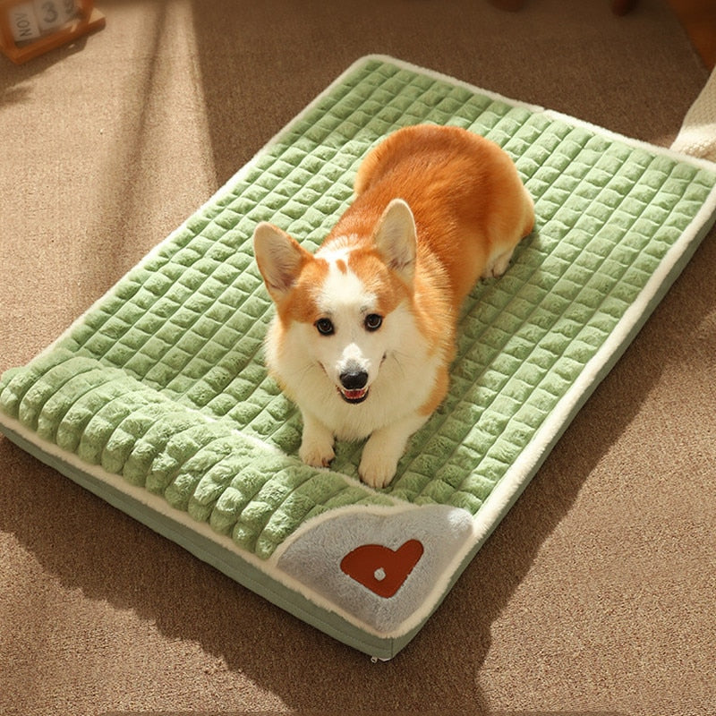 DreamCloud Memory Foam Pet Bed