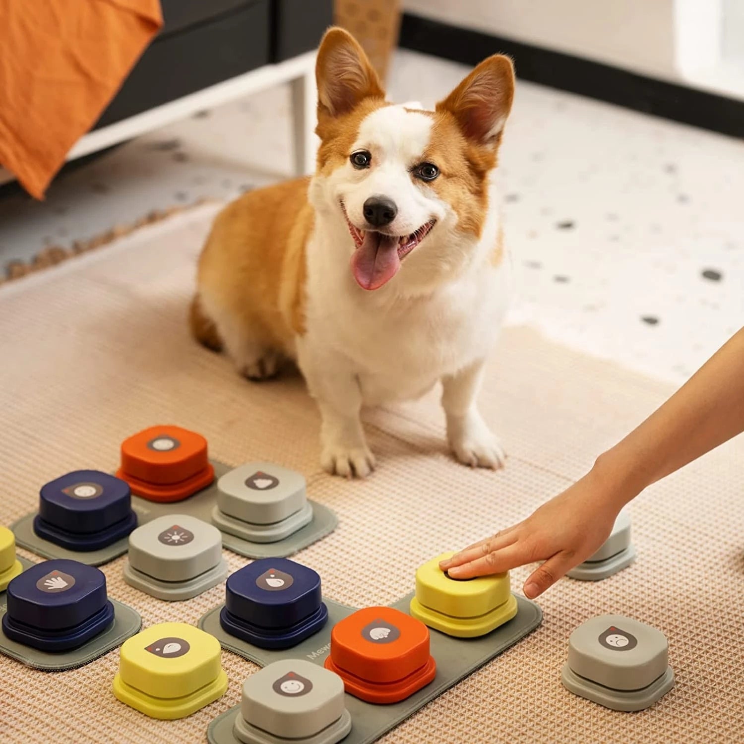 ChatterPaws Pet Interactive Training Buttons